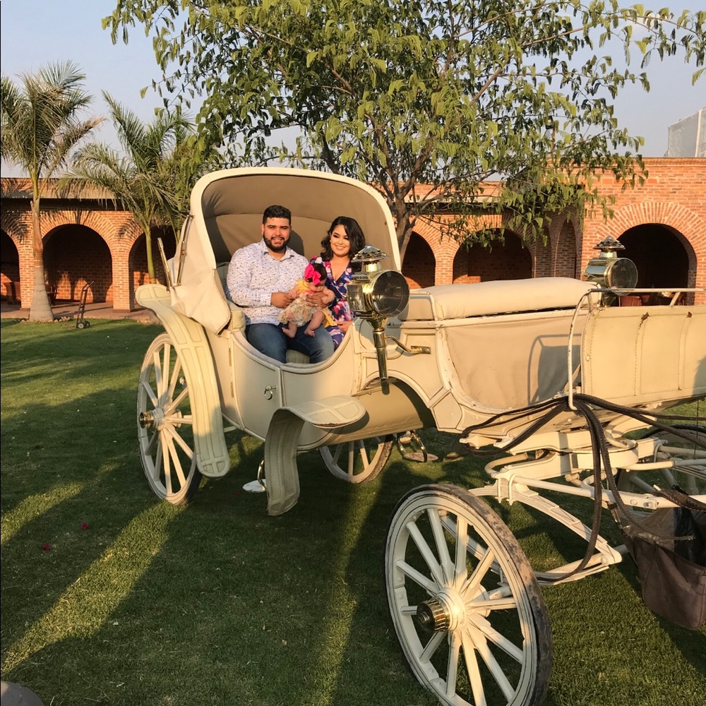 Meet your Posher, Elizabeth